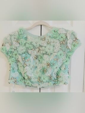 Terani Couture Gown, 2 Piece, New, Size 12, Mint Embroidery, Sheer, Skirt